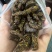 甘草佛手陈皮丝厂家直销电商款
