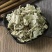 中药铺寻骨风清骨风猫耳朵白面风包邮