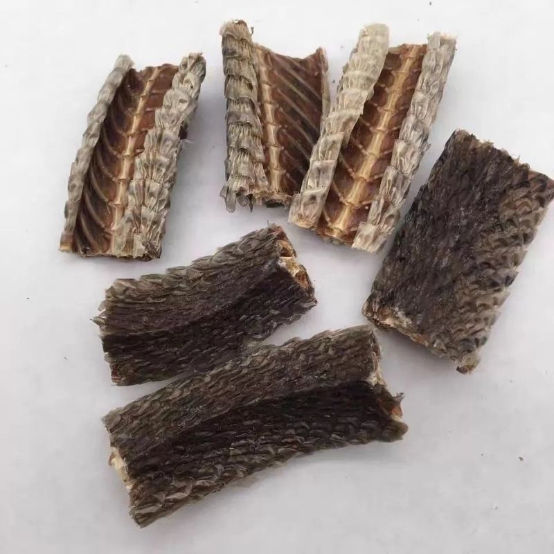 乌梢中药蛇药材蛇段干货切整条风湿泡酒料中草药包邮