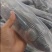 【活到家】精选笋壳鱼淡水鱼之冠鲜活呆子鱼宝宝辅食无抗活鱼