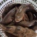 【活到家】精选笋壳鱼淡水鱼之冠鲜活呆子鱼宝宝辅食无抗活鱼