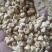 大量出售白糯玉米