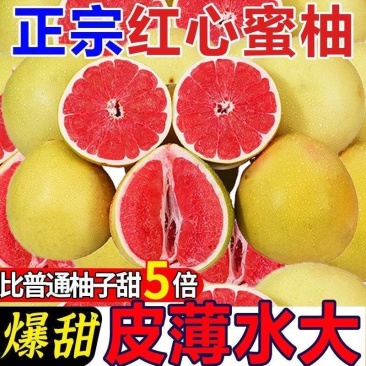 《精选》红心柚基地直发对接商超电商团购供应链一条龙