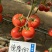 德隆1917番茄种子抗病高产耐裂性好硬度高耐运输