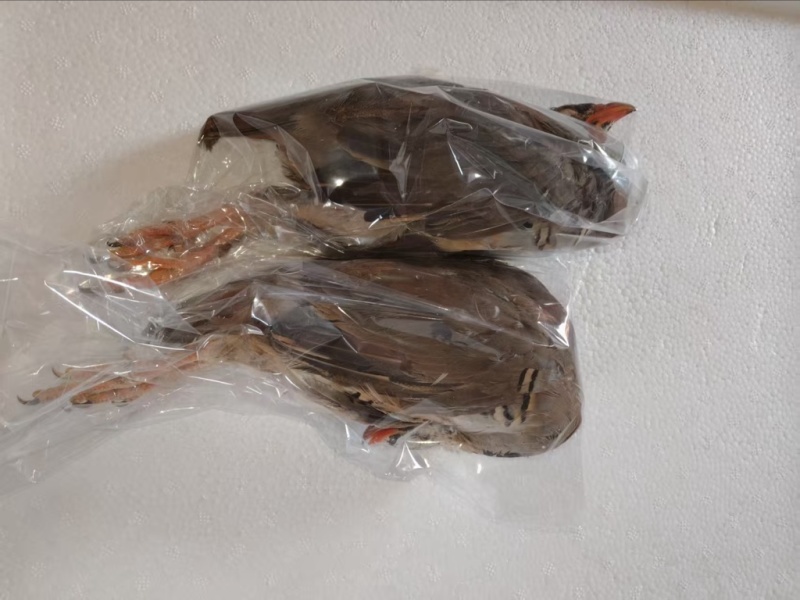 又到了发带毛速冻的季节了
