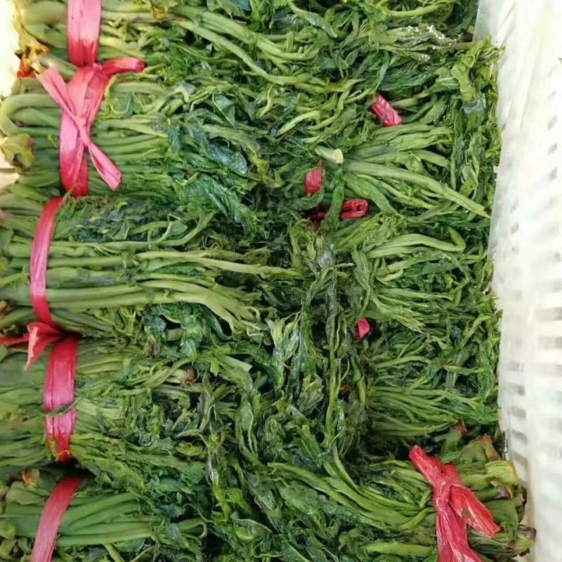 【泡菜】商用袋装香椿咸菜碎250克