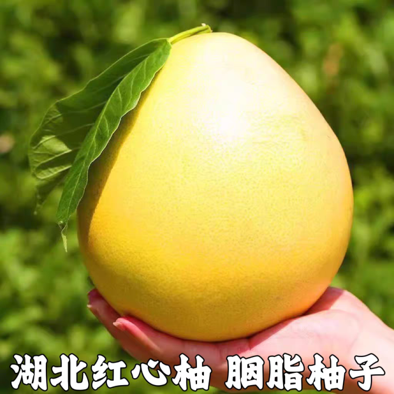 《畅销》三红柚基地直发对接商超团购电商一条龙服务