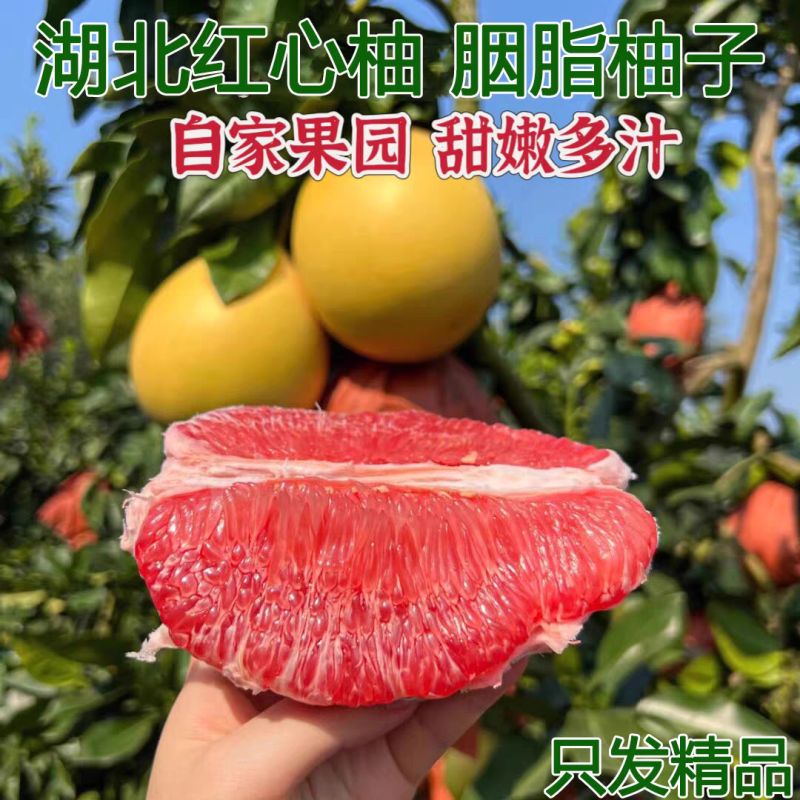《畅销》三红柚基地直发对接商超团购电商一条龙服务