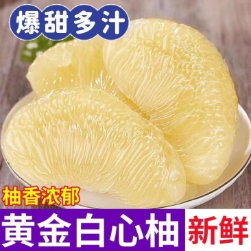 《实力》黄心蜜柚白柚基地直发保质保量对接全国一条龙