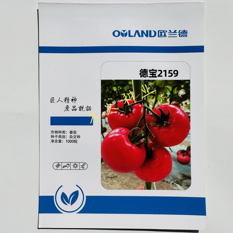 德宝2159番茄杂交种无限生长粉果西红柿大果抗病博粉硬果