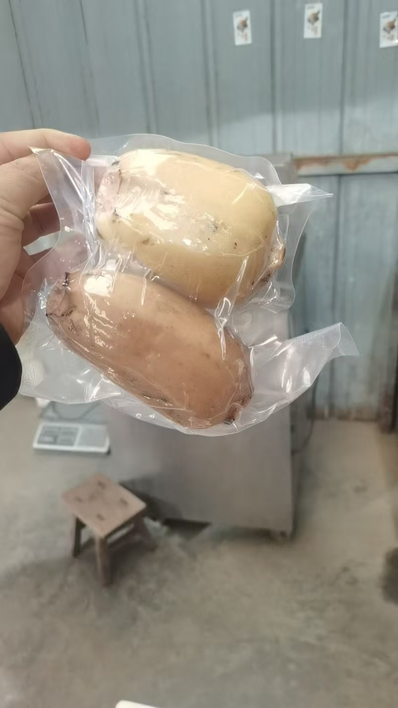 合阳粉藕