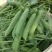 绿禾6号豌豆种种子早熟甜脆青碗豆带壳长寿仁散装抗寒蔬菜