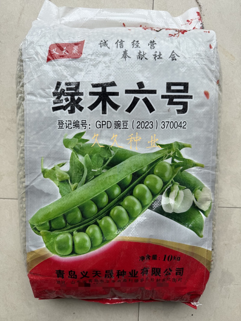 绿禾6号豌豆种种子早熟甜脆青碗豆带壳长寿仁散装抗寒蔬菜