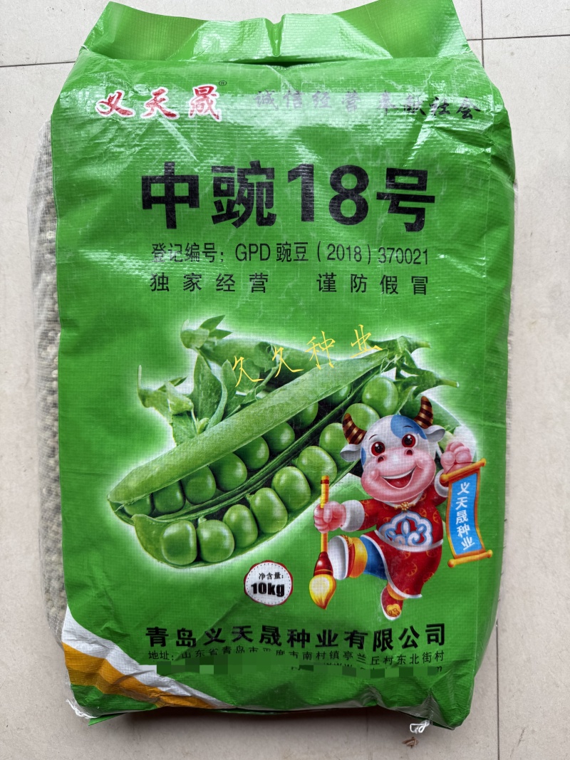 中豌18号豌豆种子中早熟矮杆高产甜脆青碗豆耐寒春秋冬季