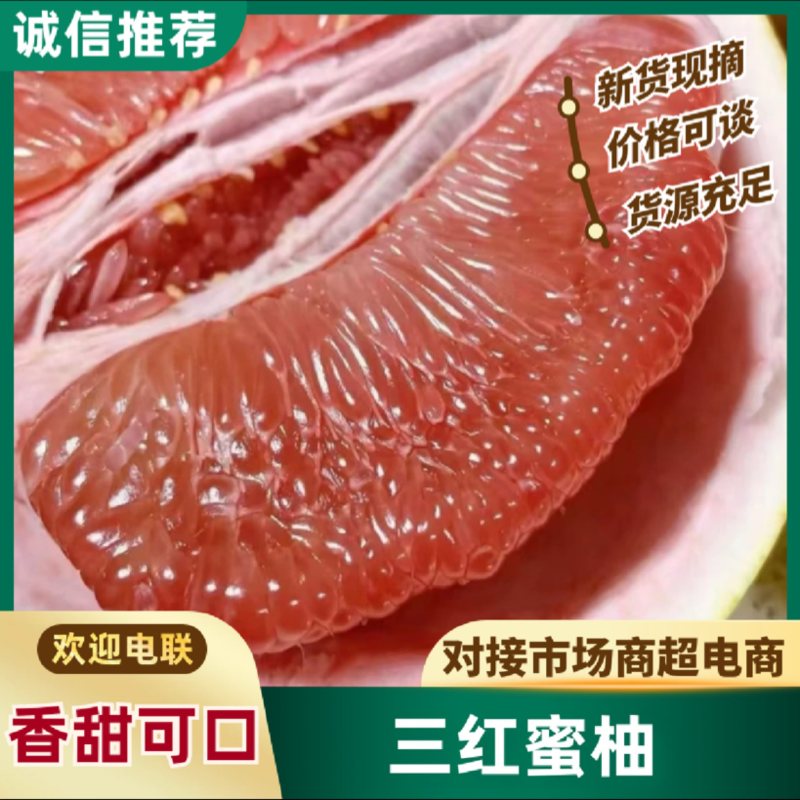 正宗福建琯溪蜜柚/三红柚/视频看货/视频采摘