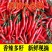 苏鲁豫皖万亩辣椒基地大量供应精品小米辣椒需要的请联系，