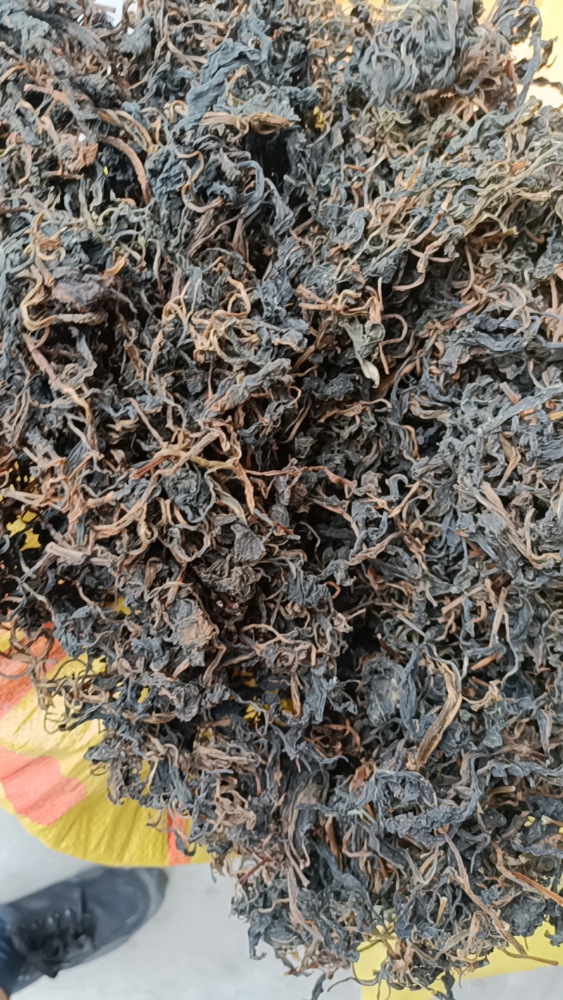 苦斋菜