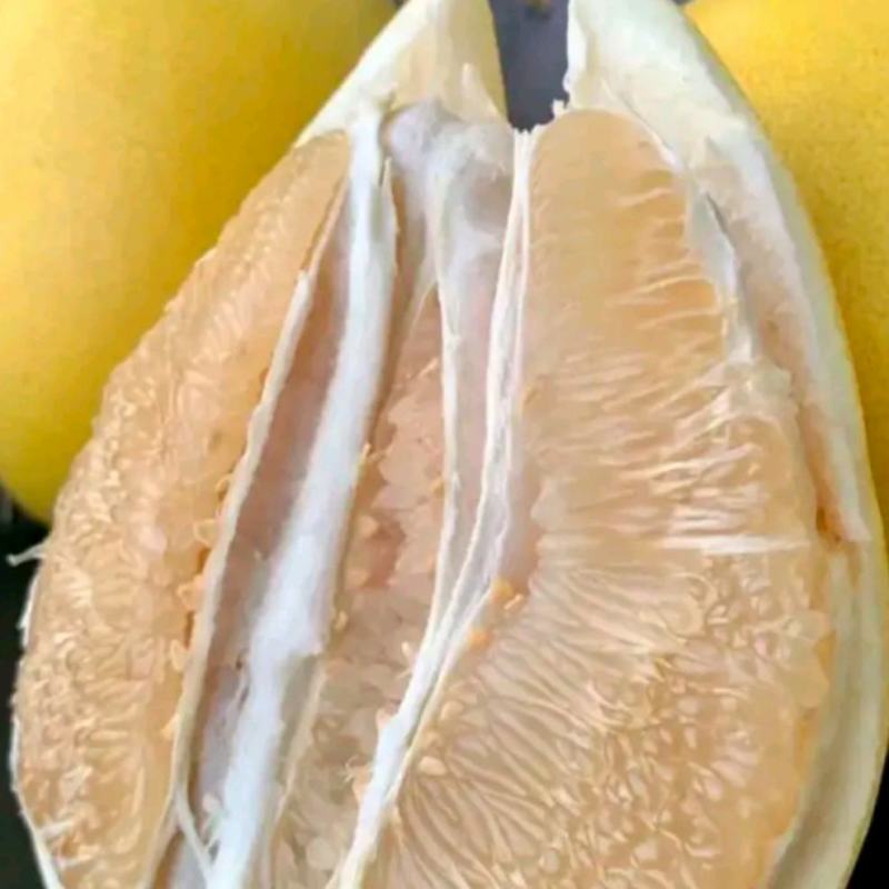 湖北红心白心蜜柚原产地个大皮簿味甜，品质有保证