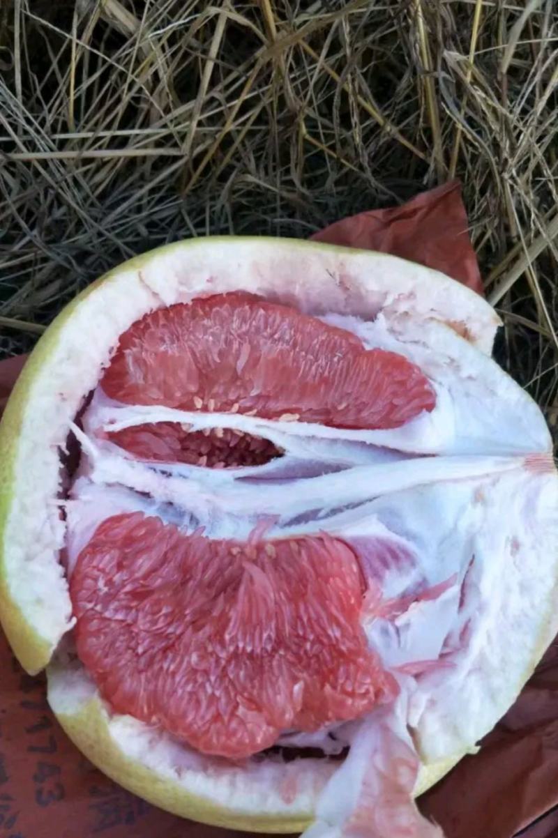湖北红心白心蜜柚原产地个大皮簿味甜，品质有保证