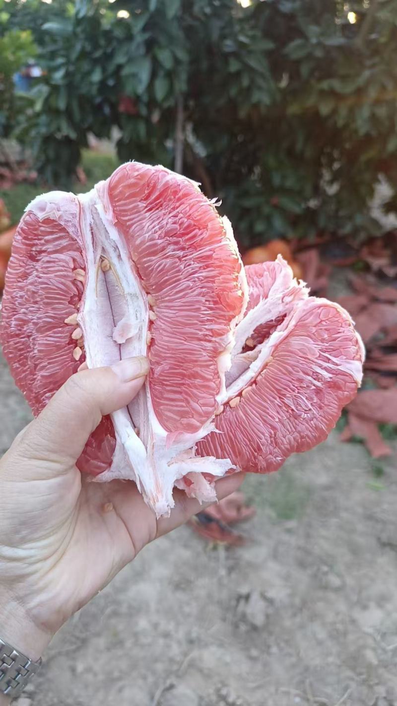 湖北红心白心蜜柚原产地个大皮簿味甜，品质有保证
