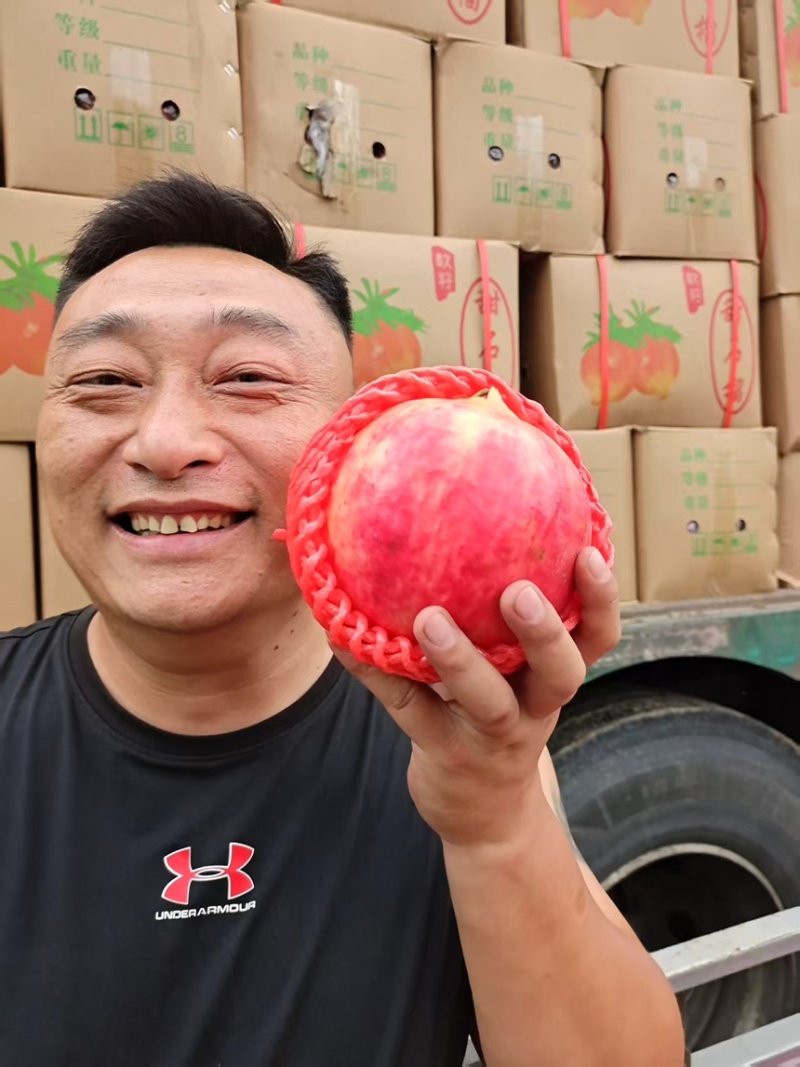 会理石榴一手经销商