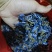 葛花，泡茶，解酒