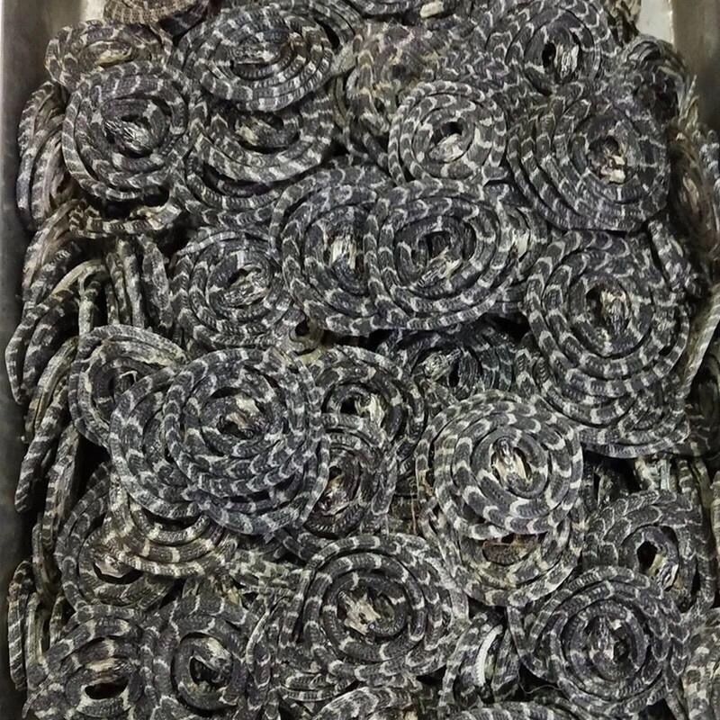 中药材金钱白花蛇正品金钱百小花蛇干中祁练蛇小白花蛇