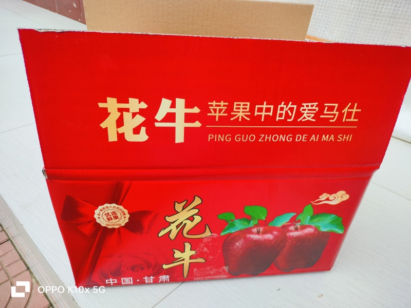 甘肃礼县花牛苹果新果