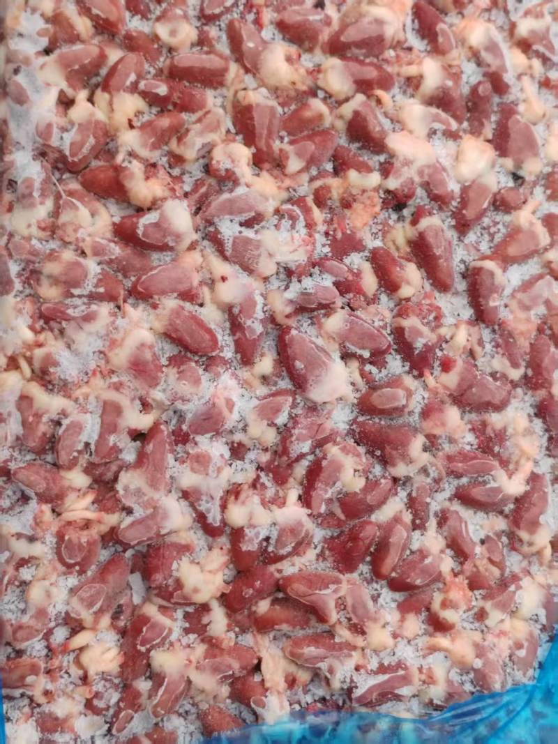 大肉食鸡心