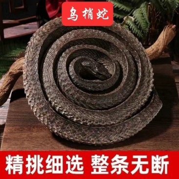 正品乌俏蛇整条乌俏蛇干乌俏蛇段泡酒包邮打粉