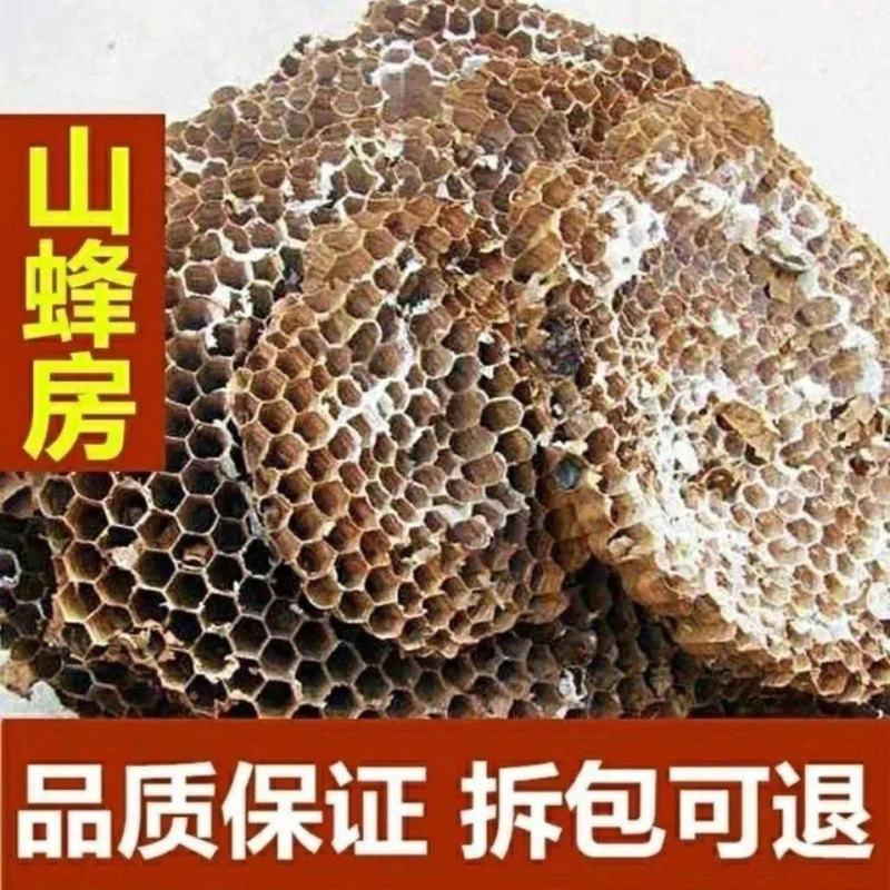中药野生中药材山蜂房胡蜂巢马蜂窝露蜂房硬蜂房
