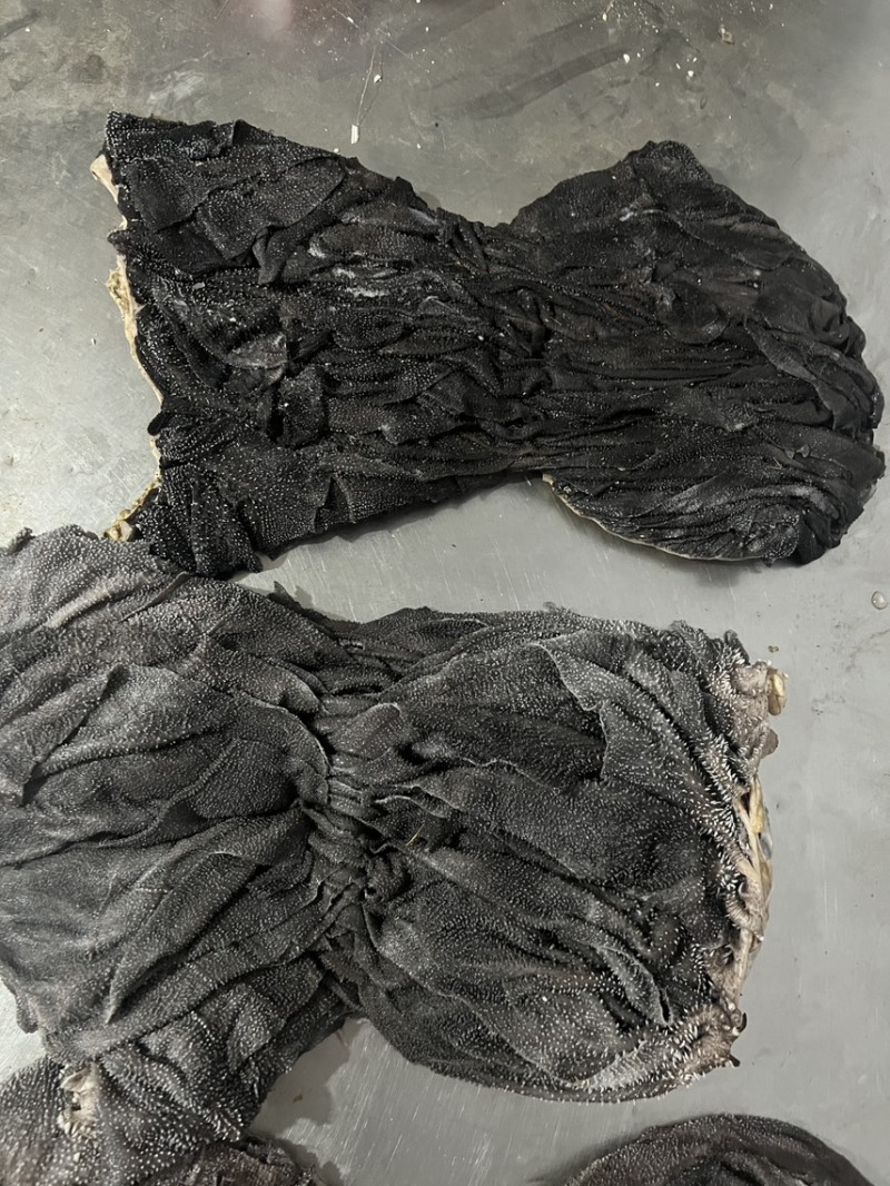 鲜毛肚，火锅食材纯干无油，牛百叶，欢迎进店选购