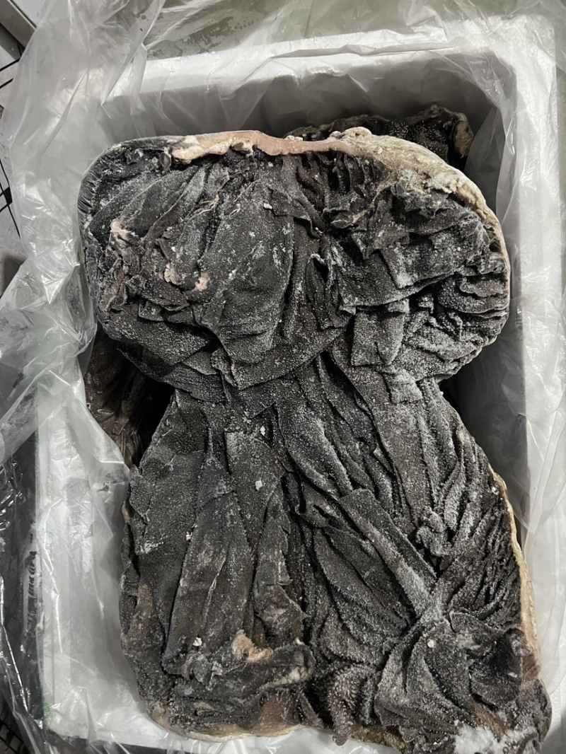 鲜毛肚，火锅食材纯干无油，牛百叶，欢迎进店选购