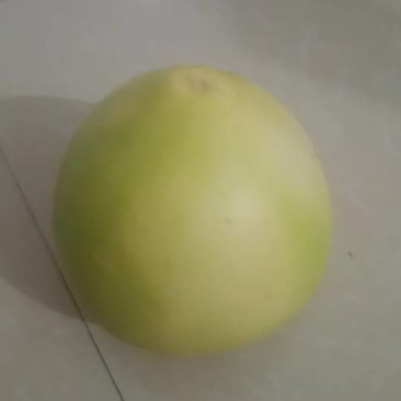 新鲜现摘蜜柚，果肉多汁香甜，健康美味**