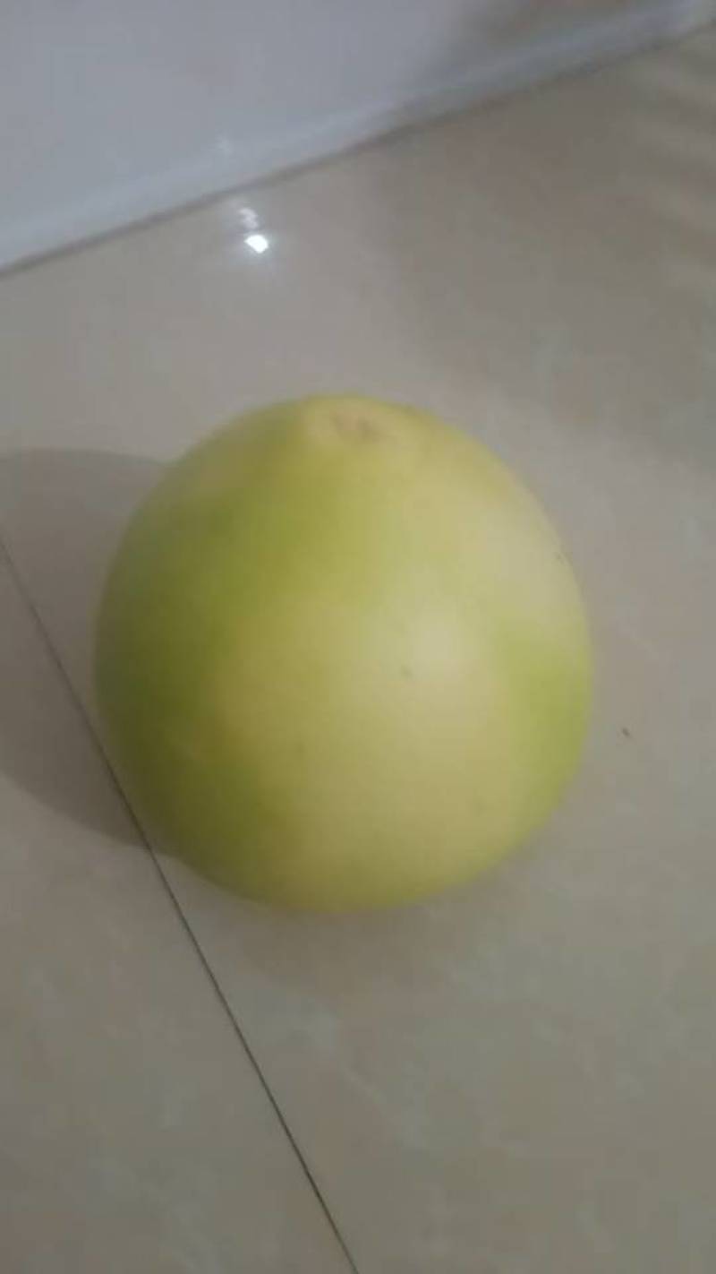 新鲜现摘蜜柚，果肉多汁香甜，健康美味**