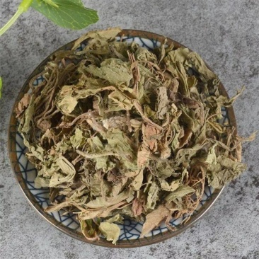 地胆草正品野生道地中药材地胆草草鞋底苦地胆地胆头