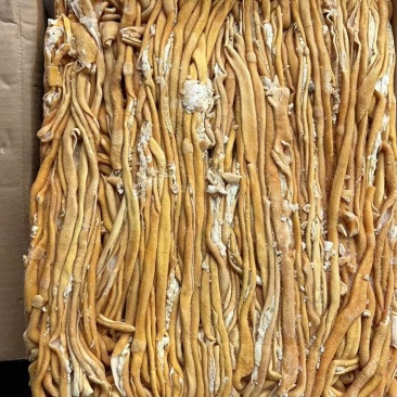 小鸭熟肠，鸭肠