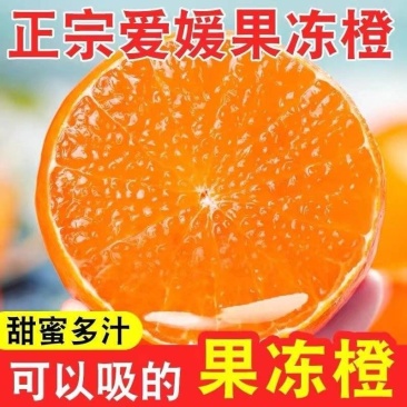 爱媛果冻橙38号香甜多汁入口即化
