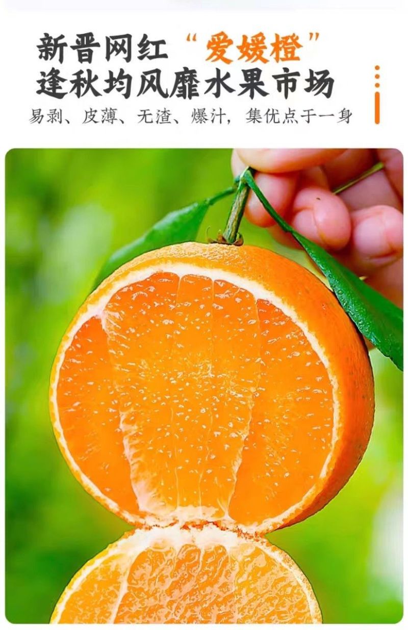 爱媛果冻橙38号香甜多汁入口即化