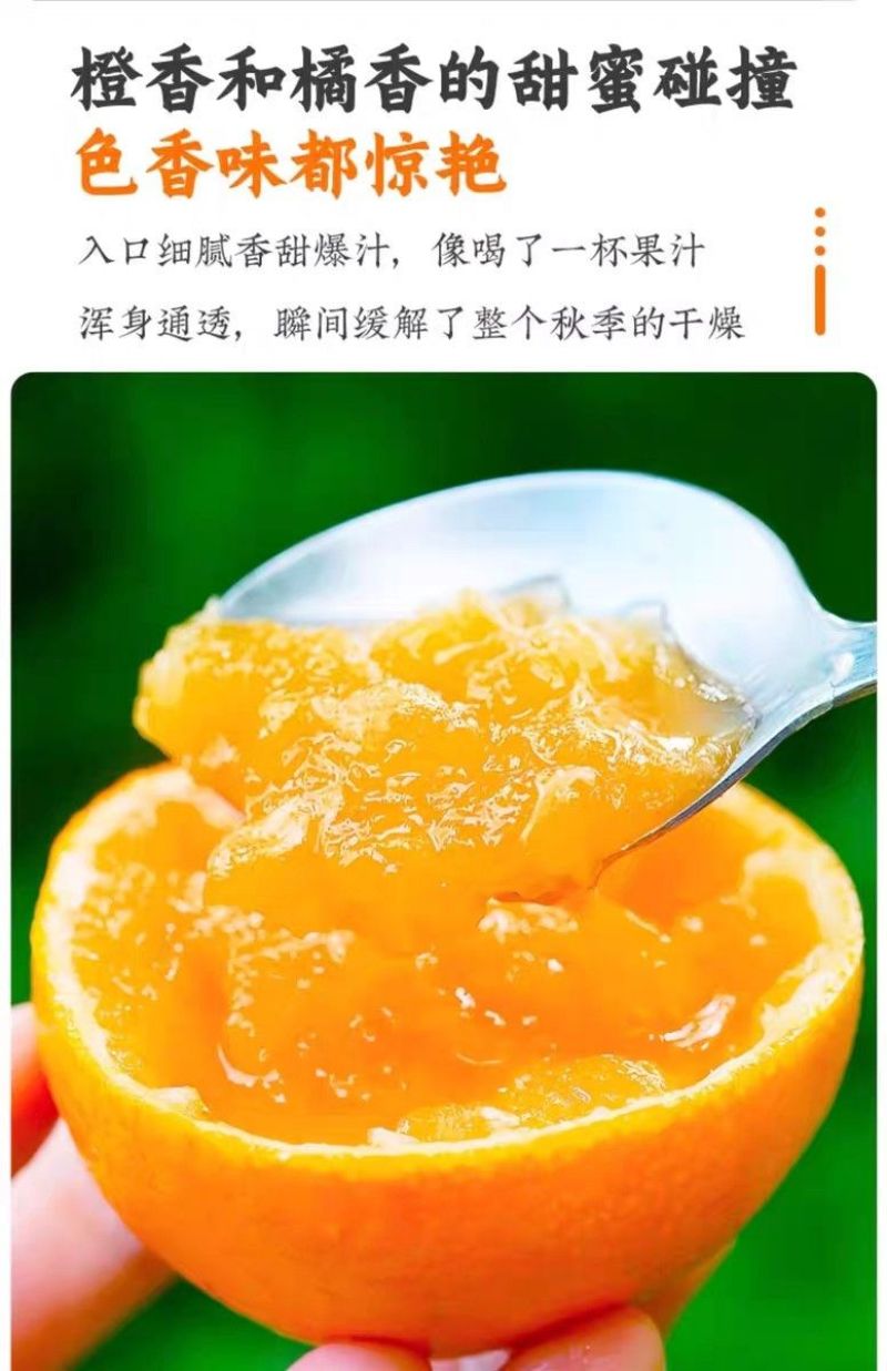 爱媛果冻橙38号香甜多汁入口即化