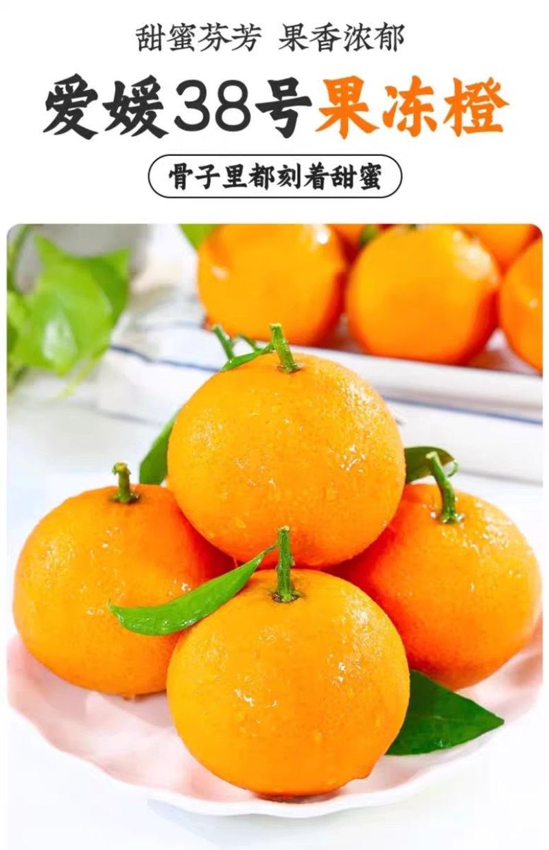 爱媛果冻橙38号香甜多汁入口即化