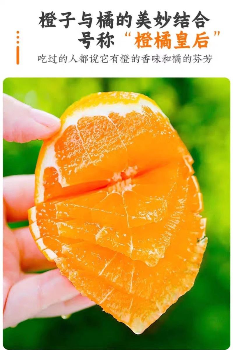 爱媛果冻橙38号香甜多汁入口即化