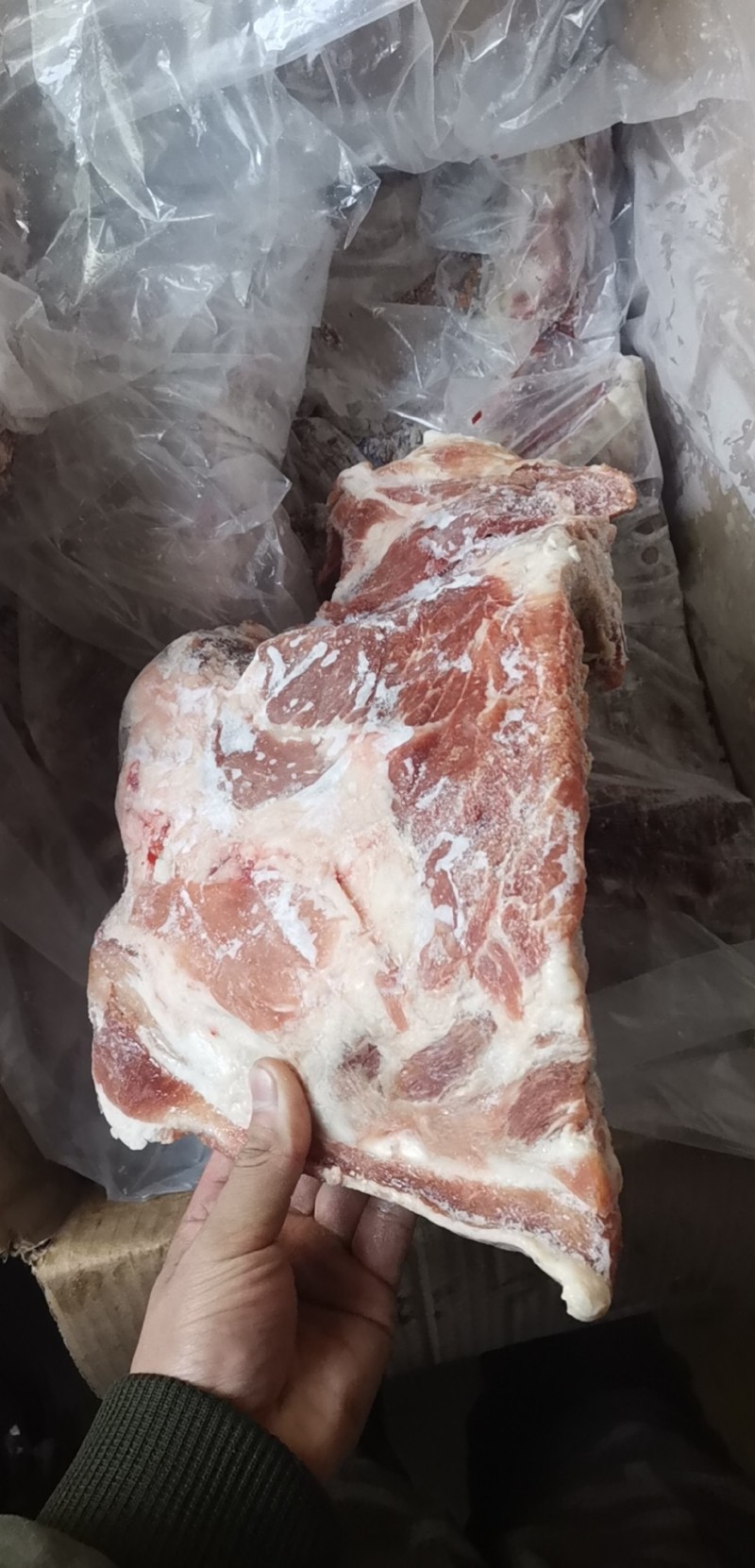 多肉去颈前排**日期！现场实拍！一件起发。
