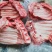 多肉去颈前排**日期！现场实拍！一件起发。