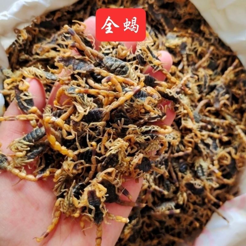全蝎全虫中药材蝎子清水盐水干货整条公蝎子泡酒煲汤可免
