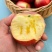 糖心苹果又脆又甜新鲜现货，好吃不贵，随时供货