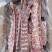 龙骨