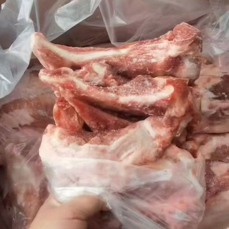 肥猪多肉月牙骨