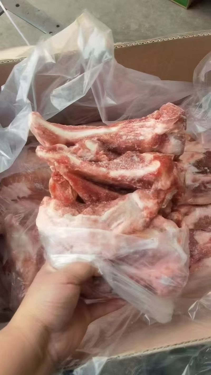 肥猪多肉月牙骨