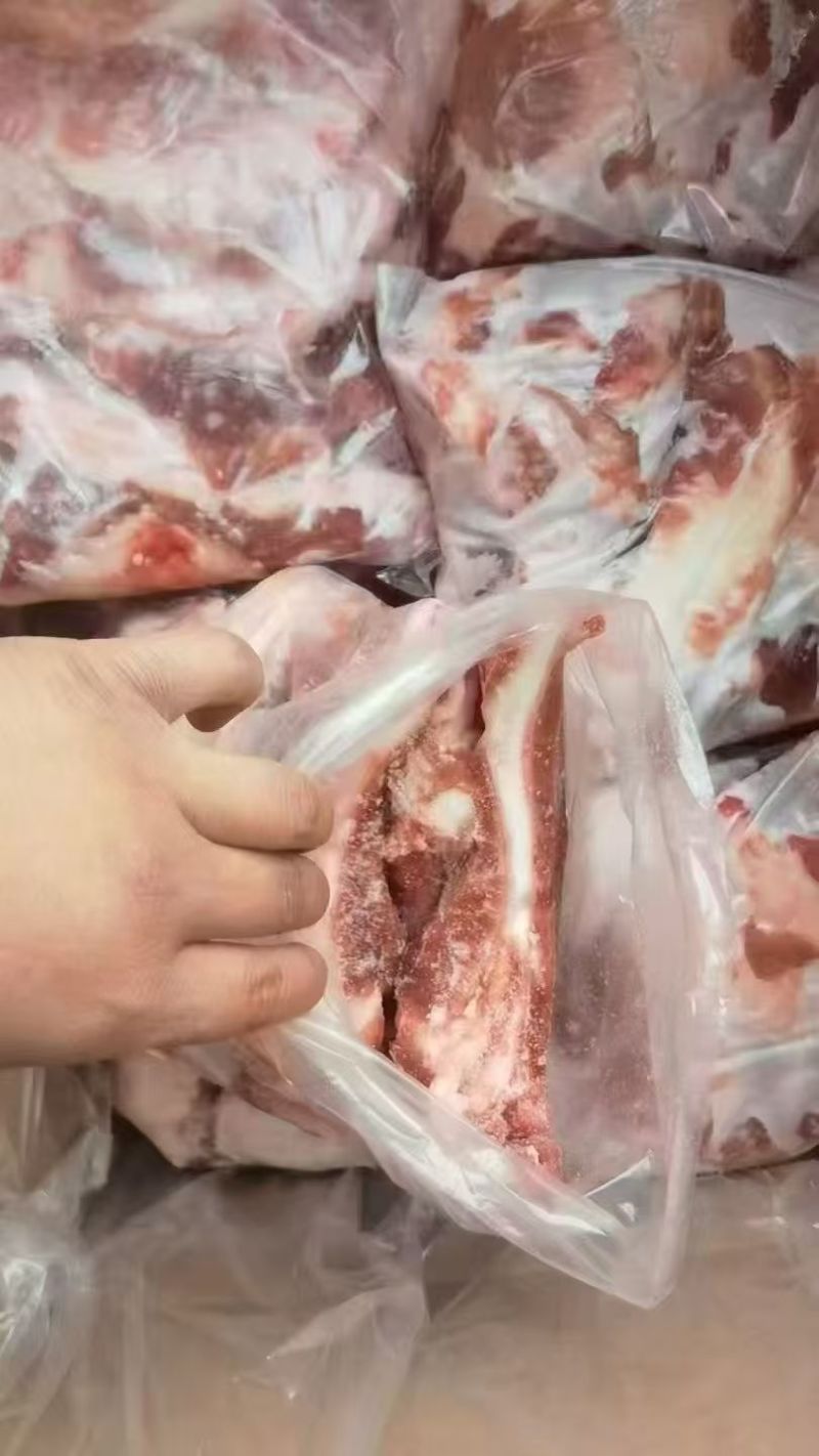 肥猪多肉月牙骨